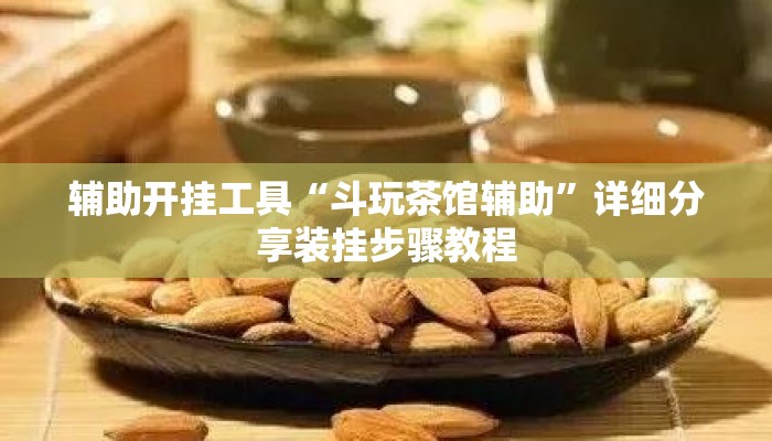 辅助开挂工具“斗玩茶馆辅助”详细分享装挂步骤教程
