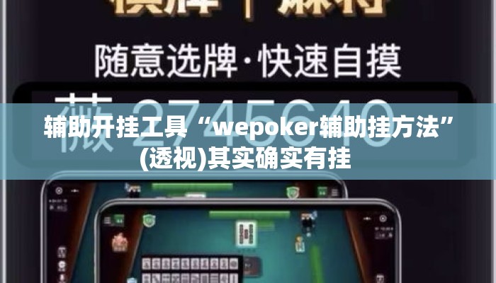 辅助开挂工具“wepoker辅助挂方法	”(透视)其实确实有挂 