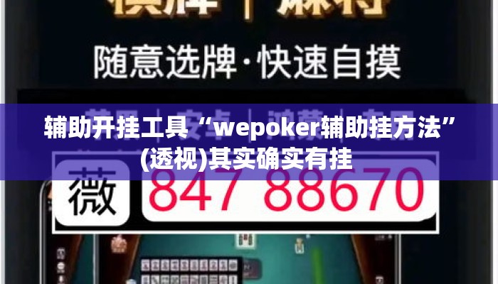 辅助开挂工具“wepoker辅助挂方法	”(透视)其实确实有挂 