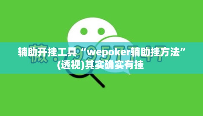 辅助开挂工具“wepoker辅助挂方法”(透视)其实确实有挂 