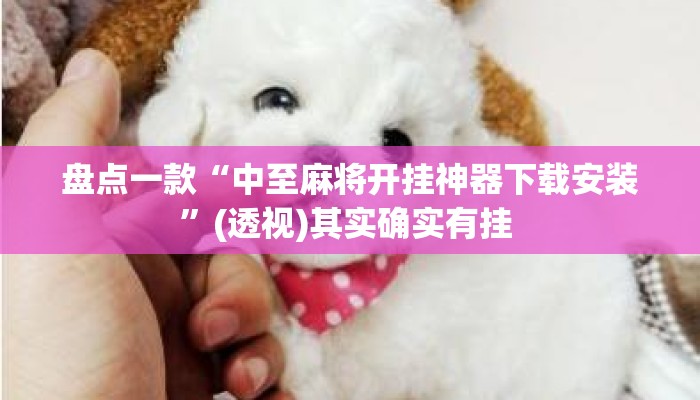 盘点一款“中至麻将开挂神器下载安装”(透视)其实确实有挂 