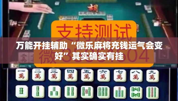万能开挂辅助“微乐麻将充钱运气会变好	”其实确实有挂