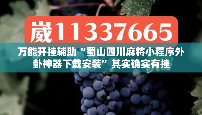 万能开挂辅助“蜀山四川麻将小程序外卦神器下载安装	”其实确实有挂