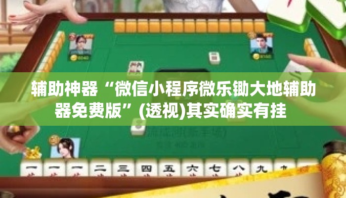 辅助神器“微信小程序微乐锄大地辅助器免费版	”(透视)其实确实有挂 