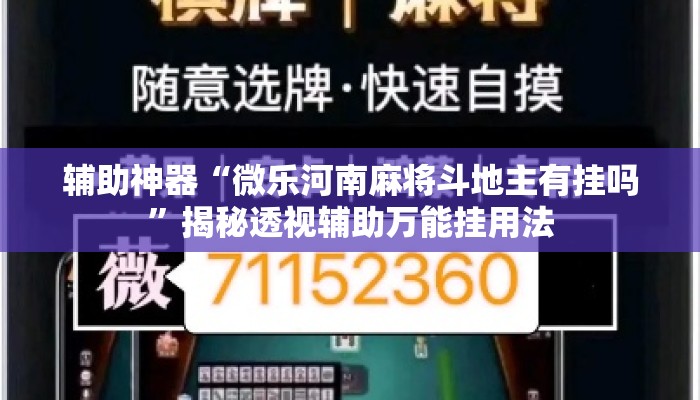 辅助神器“微乐河南麻将斗地主有挂吗”揭秘透视辅助万能挂用法