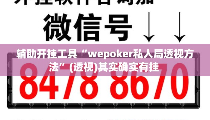 辅助开挂工具“wepoker私人局透视方法”(透视)其实确实有挂 