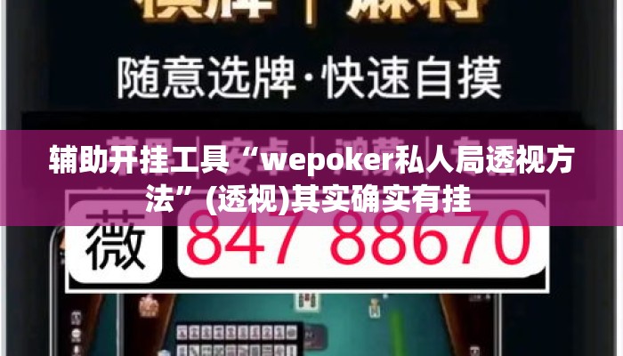 辅助开挂工具“wepoker私人局透视方法	”(透视)其实确实有挂 