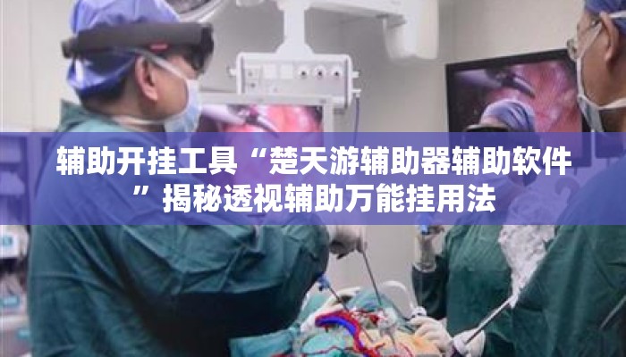 辅助开挂工具“楚天游辅助器辅助软件”揭秘透视辅助万能挂用法