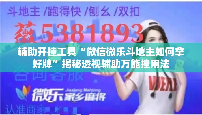 辅助开挂工具“微信微乐斗地主如何拿好牌	”揭秘透视辅助万能挂用法