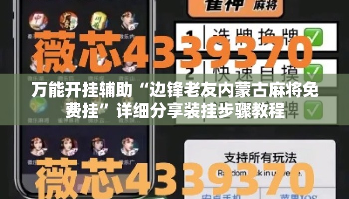 万能开挂辅助“边锋老友内蒙古麻将免费挂”详细分享装挂步骤教程