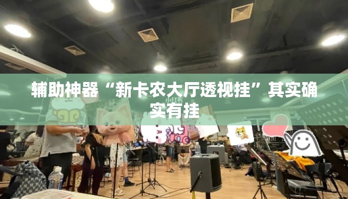 辅助神器“新卡农大厅透视挂”其实确实有挂