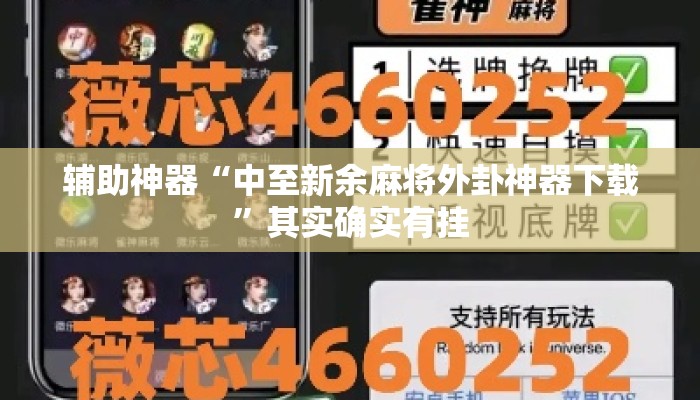 辅助神器“中至新余麻将外卦神器下载”其实确实有挂