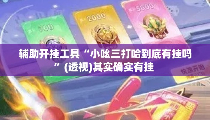 辅助开挂工具“小吆三打哈到底有挂吗”(透视)其实确实有挂 