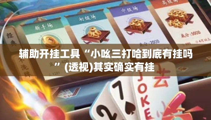 辅助开挂工具“小吆三打哈到底有挂吗”(透视)其实确实有挂 
