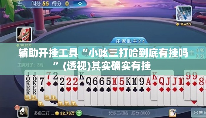 辅助开挂工具“小吆三打哈到底有挂吗	”(透视)其实确实有挂 