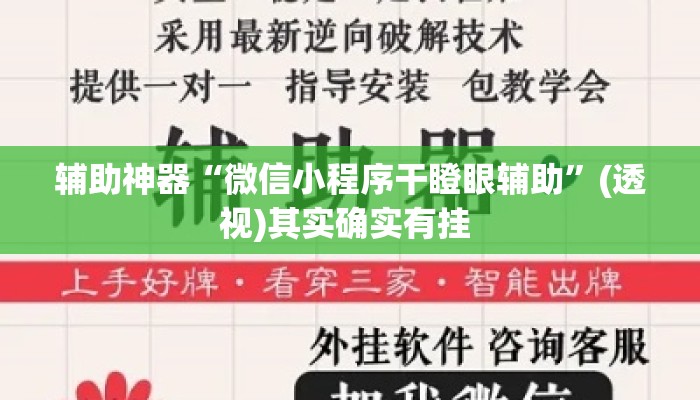 辅助神器“微信小程序干瞪眼辅助”(透视)其实确实有挂 