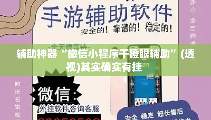 辅助神器“微信小程序干瞪眼辅助”(透视)其实确实有挂 