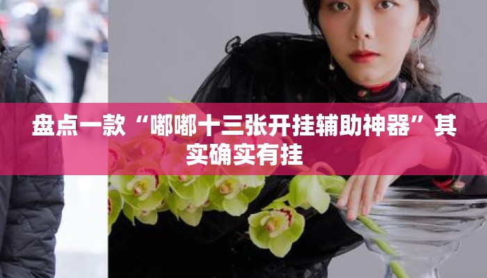 盘点一款“嘟嘟十三张开挂辅助神器”其实确实有挂