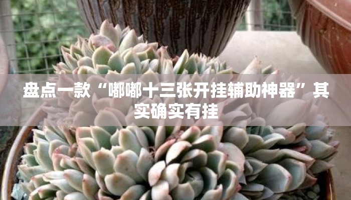 盘点一款“嘟嘟十三张开挂辅助神器”其实确实有挂