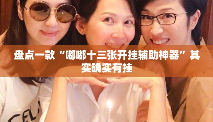 盘点一款“嘟嘟十三张开挂辅助神器	”其实确实有挂