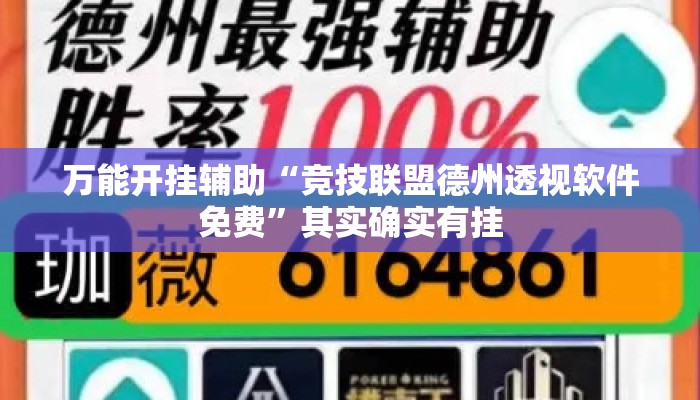 万能开挂辅助“竞技联盟德州透视软件免费”其实确实有挂