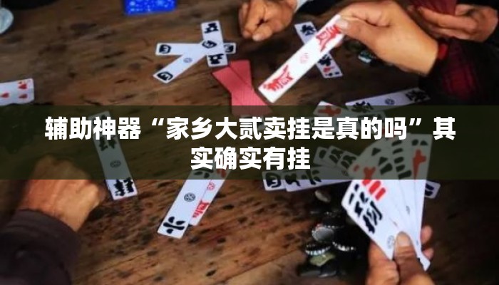 辅助神器“家乡大贰卖挂是真的吗”其实确实有挂