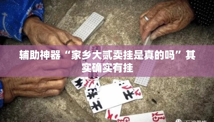 辅助神器“家乡大贰卖挂是真的吗”其实确实有挂