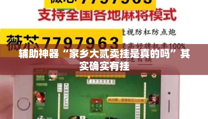 辅助神器“家乡大贰卖挂是真的吗”其实确实有挂