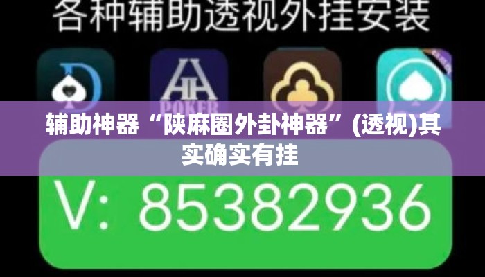 辅助神器“陕麻圈外卦神器	”(透视)其实确实有挂 