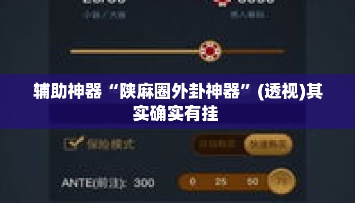 辅助神器“陕麻圈外卦神器”(透视)其实确实有挂 