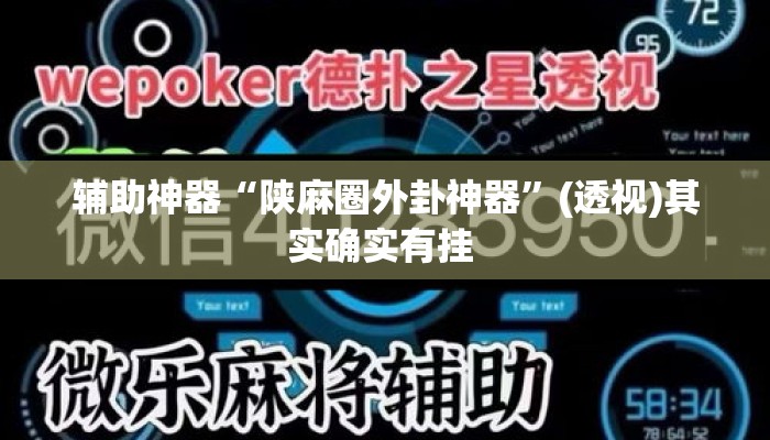 辅助神器“陕麻圈外卦神器”(透视)其实确实有挂 