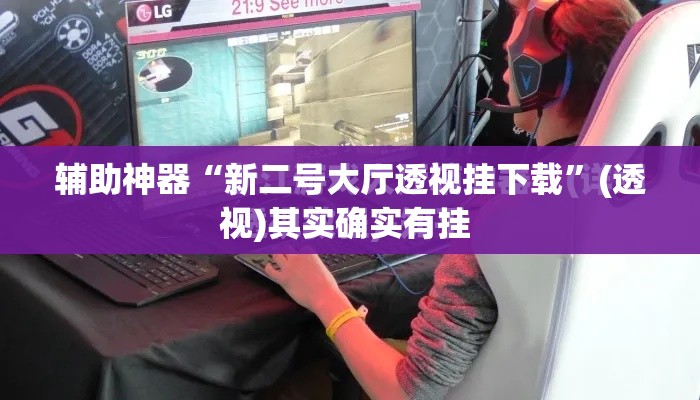 辅助神器“新二号大厅透视挂下载”(透视)其实确实有挂 