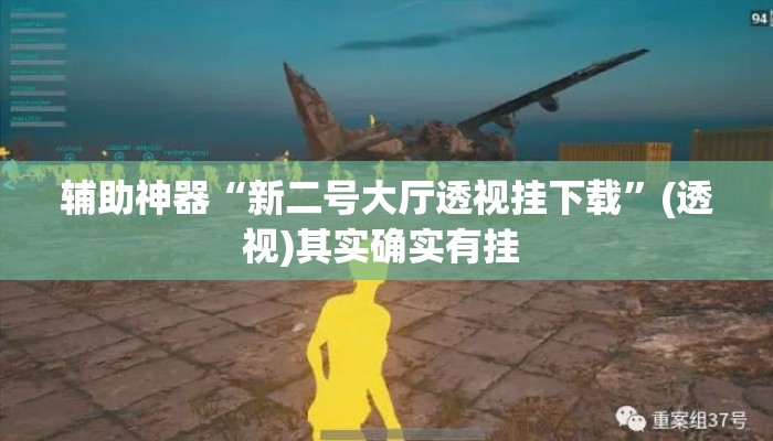 辅助神器“新二号大厅透视挂下载”(透视)其实确实有挂 