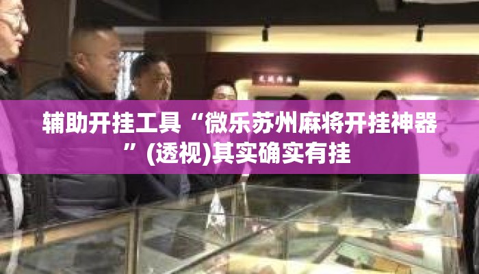 辅助开挂工具“微乐苏州麻将开挂神器”(透视)其实确实有挂 