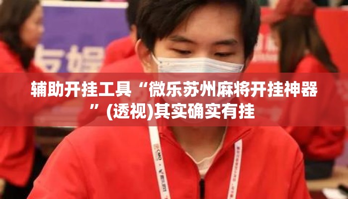 辅助开挂工具“微乐苏州麻将开挂神器	”(透视)其实确实有挂 
