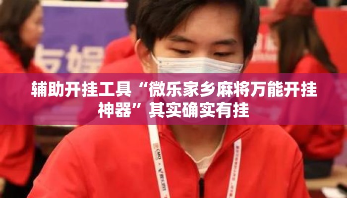 辅助开挂工具“微乐家乡麻将万能开挂神器”其实确实有挂