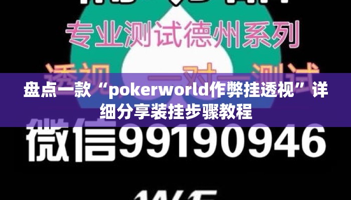 盘点一款“pokerworld作弊挂透视	”详细分享装挂步骤教程