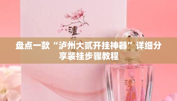 盘点一款“泸州大贰开挂神器	”详细分享装挂步骤教程