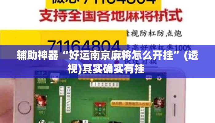 辅助神器“好运南京麻将怎么开挂”(透视)其实确实有挂 