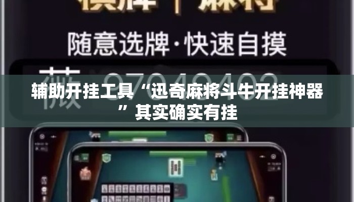 辅助开挂工具“迅奇麻将斗牛开挂神器”其实确实有挂