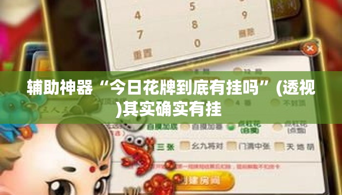 辅助神器“今日花牌到底有挂吗”(透视)其实确实有挂 