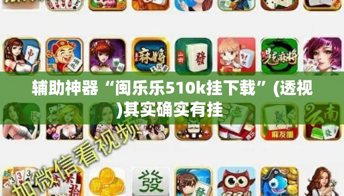 辅助神器“闽乐乐510k挂下载”(透视)其实确实有挂 