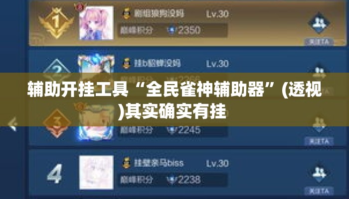 辅助开挂工具“全民雀神辅助器”(透视)其实确实有挂 