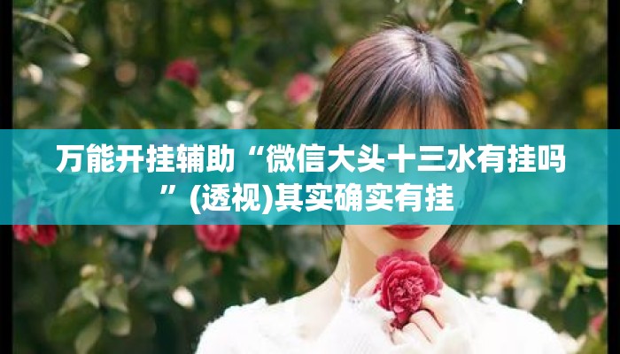 万能开挂辅助“微信大头十三水有挂吗”(透视)其实确实有挂 