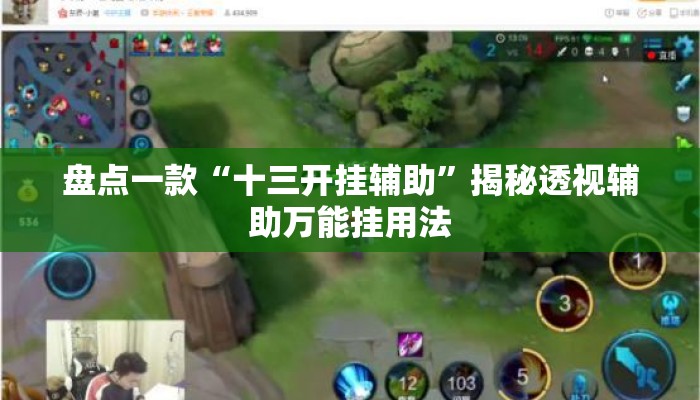 盘点一款“十三开挂辅助”揭秘透视辅助万能挂用法