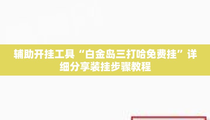辅助开挂工具“白金岛三打哈免费挂”详细分享装挂步骤教程