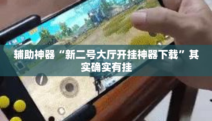 辅助神器“新二号大厅开挂神器下载”其实确实有挂