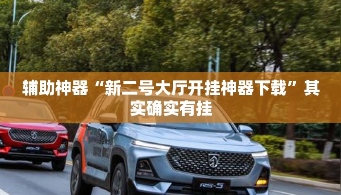 辅助神器“新二号大厅开挂神器下载	”其实确实有挂