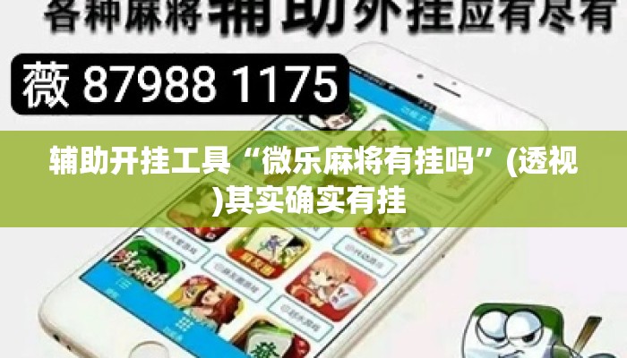 辅助开挂工具“微乐麻将有挂吗”(透视)其实确实有挂 