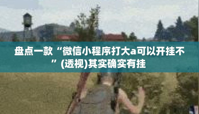 盘点一款“微信小程序打大a可以开挂不”(透视)其实确实有挂 
